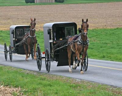 Traffic in the Amish country 004.jpg