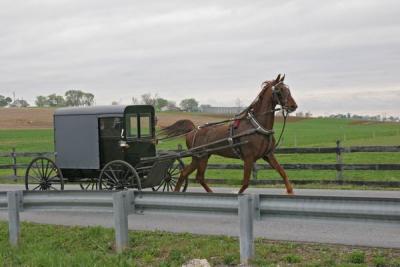 Amish 006.jpg