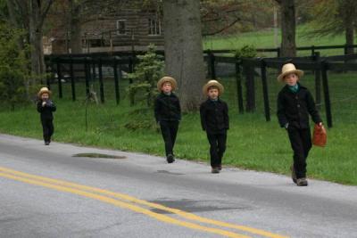 Amish 063.jpg