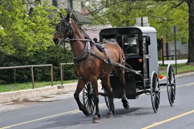 Amish 036.jpg