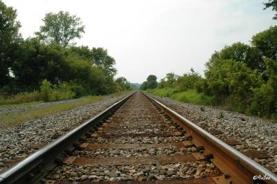 RR Tracks - Big Prairie OH.JPG