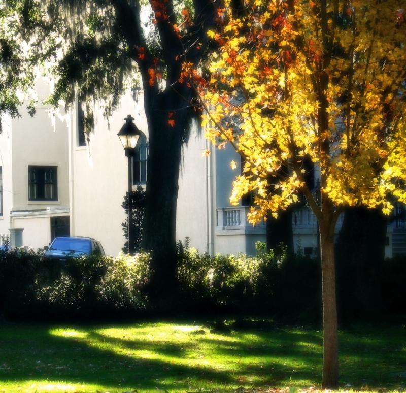 A SOFT bright day