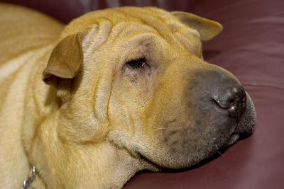 _DSC0019web.jpg