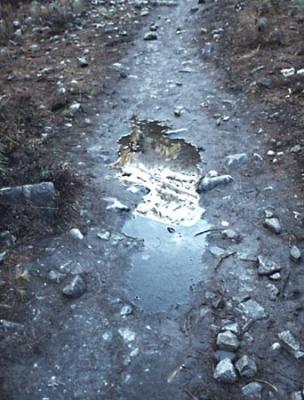 Nepal Path.jpg