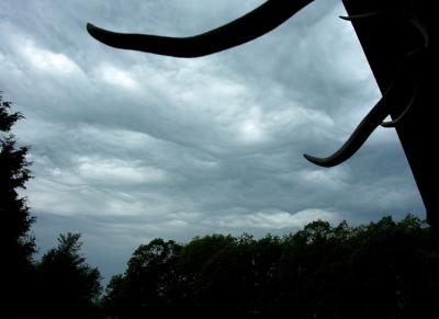 StormySkies