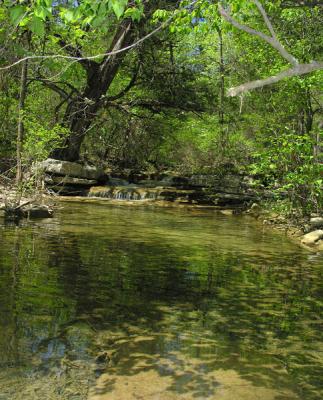 Stream