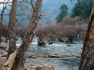 u11/besati/medium/10510545.DSC02980a.jpg
