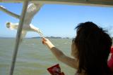 Feeding Seagulls at Matsushima