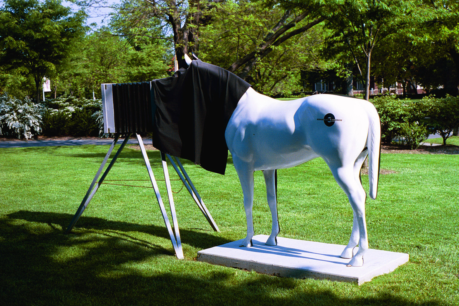 Eastman House entrant in the Rochester Horse exhibit