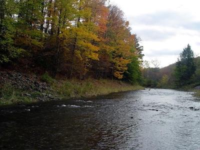 Fall on the Creek   Vestal NY