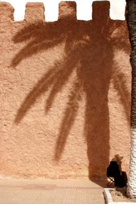 Palm shadow