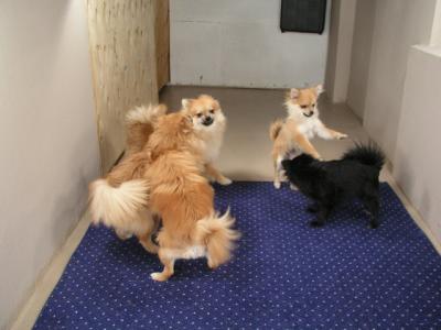 Dec5_02_085.JPG