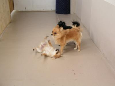 Dec5_02_466.JPG