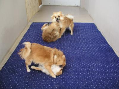 Dec5_02_520.JPG