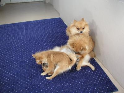 Dec5_02_691.JPG