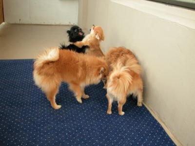 Dec5a_02_006.JPG