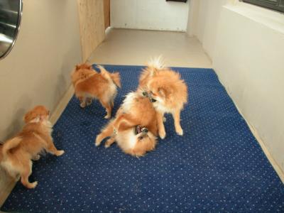 Dec5a_02_011.JPG