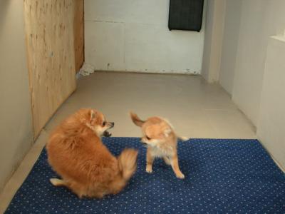 Dec5a_02_047.JPG