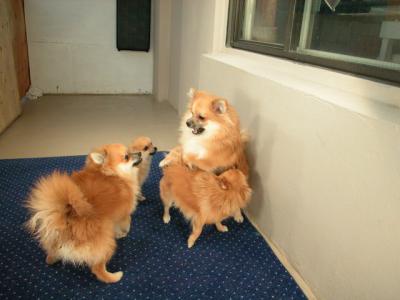 Dec5a_02_048.JPG