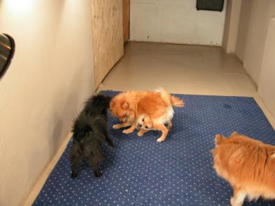 Dec5a_02_089.JPG