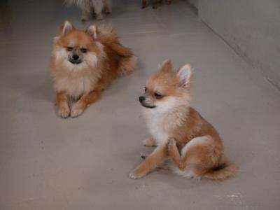 Dec11_02_003.JPG