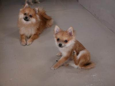 Dec11_02_004.JPG