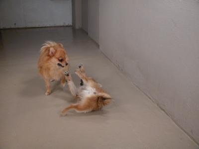 Dec11_02_036.JPG
