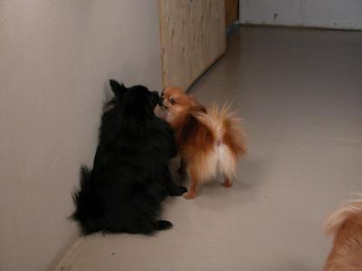Dec11_02_040.JPG