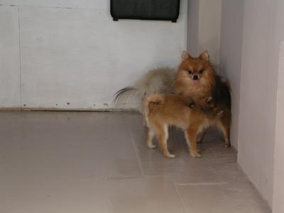 Dec11_02_078.JPG