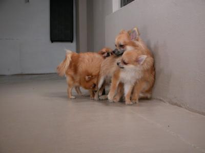 Dec12_02_050.JPG