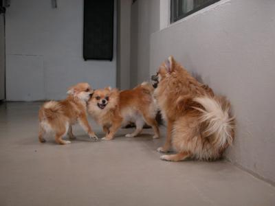 Dec12_02_085.JPG