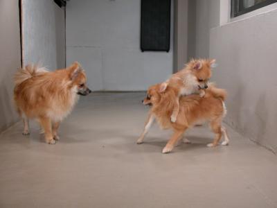 Dec12_02_090.JPG