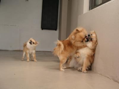 Dec12_02_204.JPG