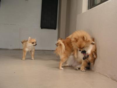 Dec12_02_205.JPG