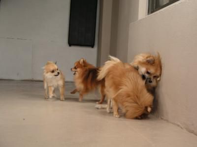 Dec12_02_206.JPG