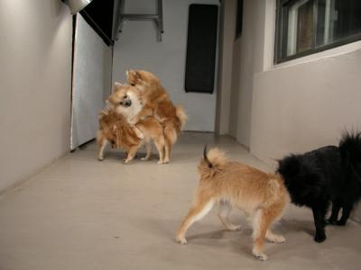 Dec12_02_288.JPG
