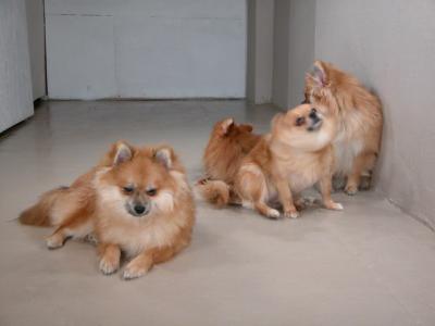 Dec12_02_348.JPG