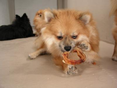 Dec12_02_416.JPG