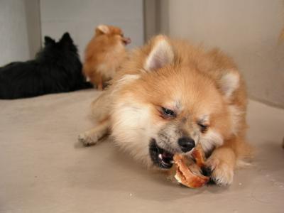 Dec12_02_417.JPG
