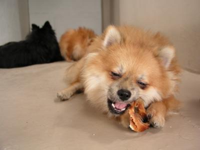 Dec12_02_418.JPG