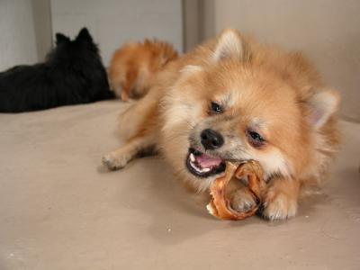 Dec12_02_420.JPG