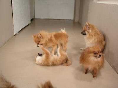 Dec12_02_447.JPG