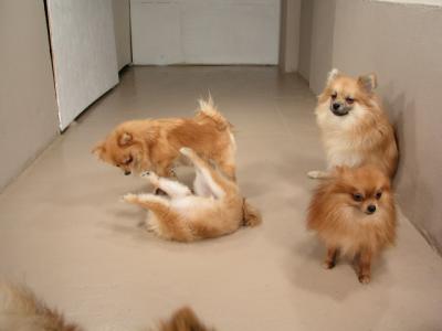 Dec12_02_449.JPG