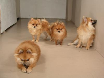 Dec12_02_458.JPG