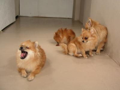 Dec12_02_463.JPG