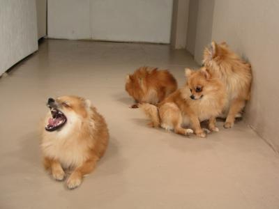 Dec12_02_464.JPG