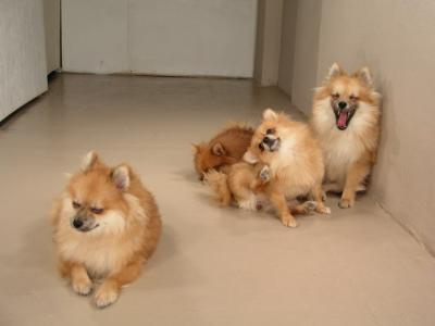 Dec12_02_466.JPG