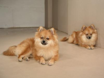 Dec12_02_481.JPG