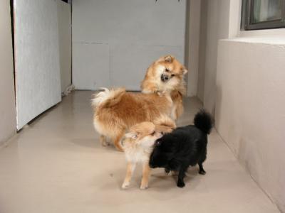 Dec12_02_498.JPG
