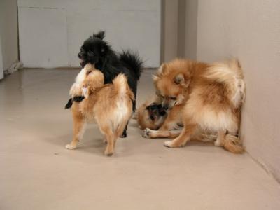 Dec12_02_501.JPG
